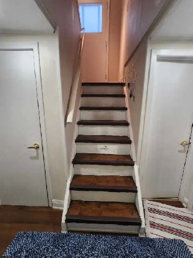 Basement Room Image# 1