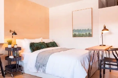 Superbe studio-appartement, tout compris (Métro Laurier) Image# 2