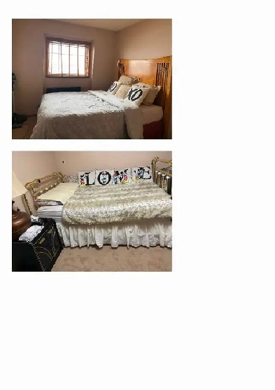 rooms for rent at Monterey Park,  Eldorado Place NE Calgary Image# 1