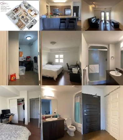 sublet apartment unit in 800 Dovercourt Image# 1