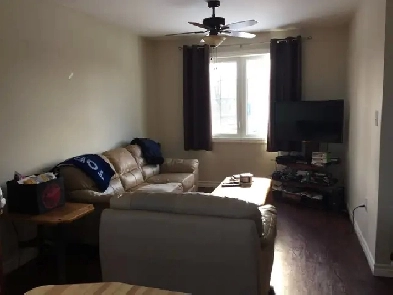 Student Room for rent near Brock Uni. Image# 1