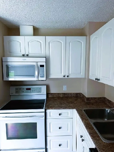 Duplex for Rent Image# 6
