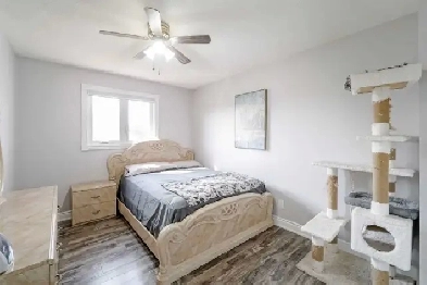 $900 Bedroom for rent in Brampton, all amenities inclusive ! Image# 9