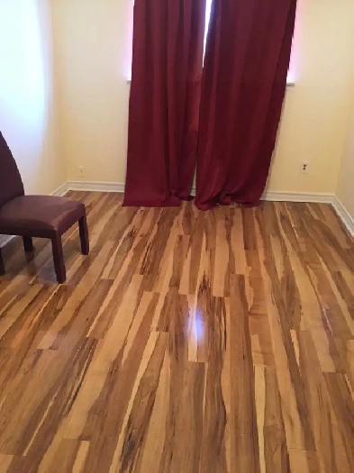 Main floor 3 Bedrooms house for rent Image# 8