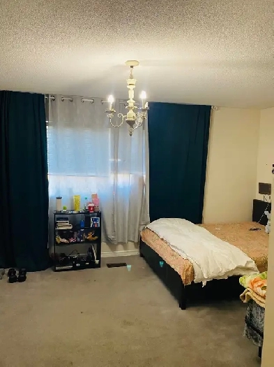 Master Bedroom for rent in Brampton for girls Image# 1