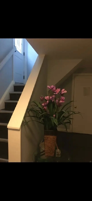 North York Basement Room Rent Image# 6