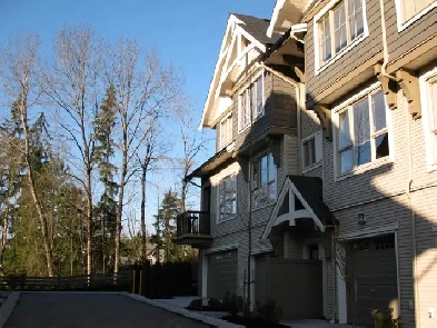 3bed/2.5 Bath - 1335ft2 - Coquitlam Townhouse Image# 6