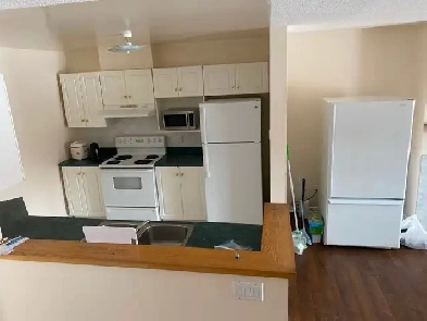 Large room with an ensuite bathroom near algonquin College Image# 3
