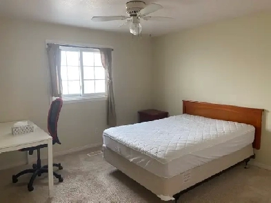 Female roommate wanted Image# 1