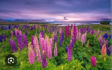 seeking accommodations in beautiful Bridgewater Image# 1