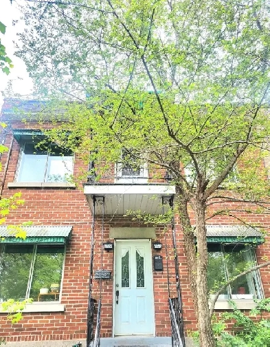 Grand 4 1/2 lumineux à 5 min du métro Image# 1