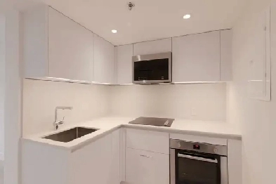 fully renovated one bedroom apartment near McGill - ID 715 Image# 1