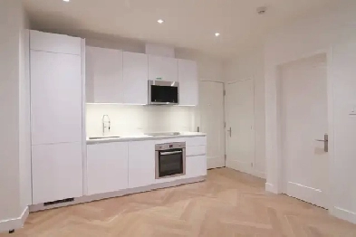 renovated two bedroom apartment for rent in Outremont - ID 3718 Image# 1