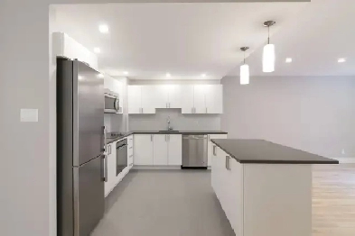 modern two-bedroom apartment near McGill - ID 1206 Image# 1