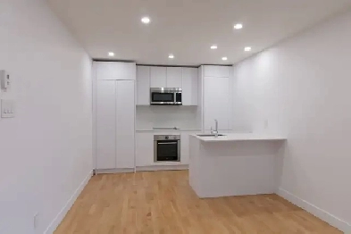 fully renovated 3-bed for Sept 1, Cote-St-Catherine - ID 1490 Image# 1