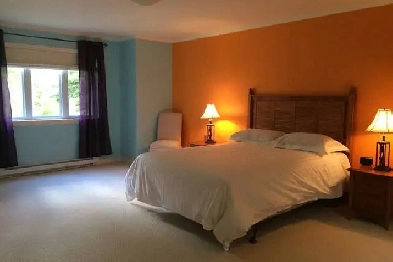 Furnished room for rent (Humber valley resort) $750 month! Image# 7