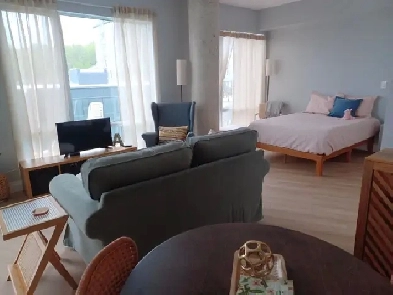 Superbe grand studio Image# 1