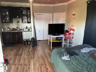 Cozy Studio Suite Available Image# 1