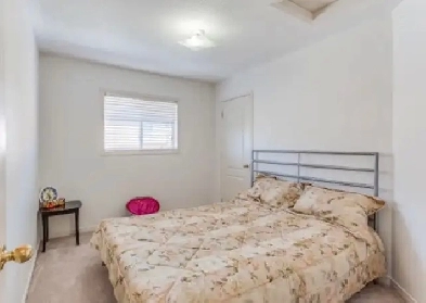 Furnished Room for Rent–All Inclusive, No Deposit Brampton $800 Image# 1