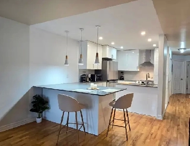 Location meublée équipée 4 1/2 Ville-Emard Image# 3
