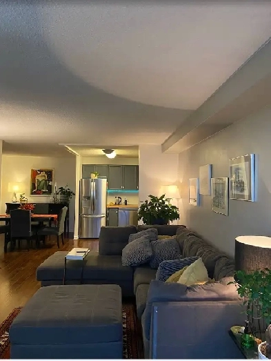 3 Bed/2 Bath Condo-parking & Utilities Inc./Mooney's Bay Area Image# 3