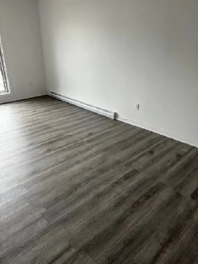 Logement 4 1/2 très propre à Chomedey Image# 2