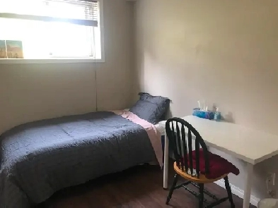 COZY 1 BDR IN A 2 BEDROOM BASEMENT (Centre Street) - $700 Image# 1