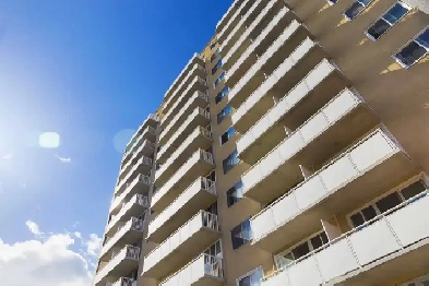 Newly Renovated: 1 Block from Canal on Somerset – 1 Bed - $1,925 Image# 2