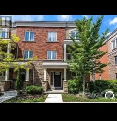 York University rentals  4 bedrooms Image# 4