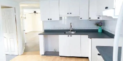 Appartement 2 chambres tout compris 1875,Ste-Catherine Longueuil Image# 1