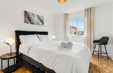 4 1/2 meubler du 1er juin au 1er juillet Image# 1