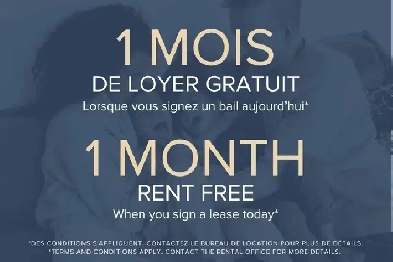 Dominik Apartments - 3 Bedroom available at 1255 rue Saint-Domin Image# 4