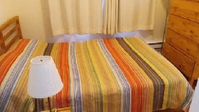 Cozy furnished 1 bedroom apartment downtown ASAP Image# 8