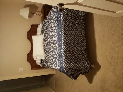 1 bedroom apartment for rent Image# 2
