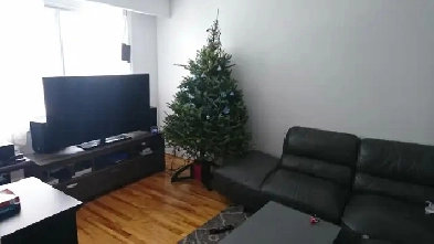 5 ½ apartment in a Duplex available on the 1st July 2025 Image# 10