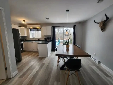 Maison renové à louer, AC central, cour, grand patio et cabanon Image# 10