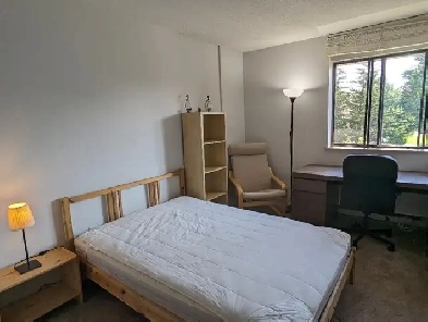 Room Available for a Student, COOP or Young Professional Image# 2