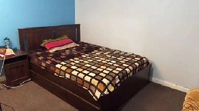 2 BEDROOMS Furnished WALKOUT BASEMENT FOR RENT Available Jul 01, Image# 1