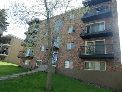 Bankview 1 bedroom $1100 all inclusive Image# 9
