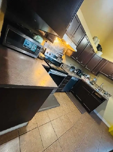 3 bedroom, 1200 sqft . close to Whitehorn LRT Image# 3
