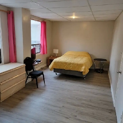 Large Furnished bachelor-all utilities included-pet friendly Image# 1