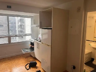 Dorchester Studio Apartment in Downtown Montreal Image# 1