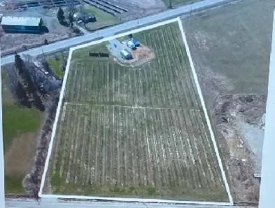 Port Dover Apple Orchard for Rent Image# 1
