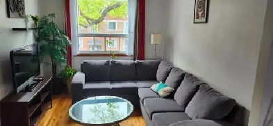 Fully-furnished 2-bedroom flat near metro Cremazie for July/Aug Image# 4