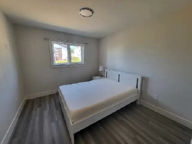 1 bedroom Apartment Image# 1