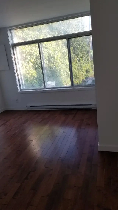 Tres Grand logement 5  1/ 2   rez-de-chausse rénové Image# 18