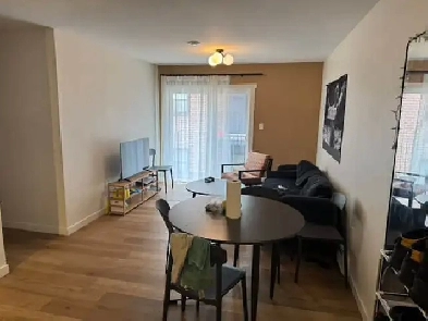 Private room for rent in Browns Ct (next to the university) Image# 1