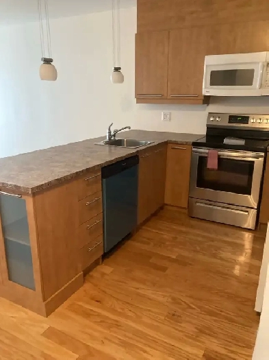 ⭐️⭐️⭐️ 31/2 CONDO LARGE MONTMORENCY AVEC STATIONMENT Image# 8