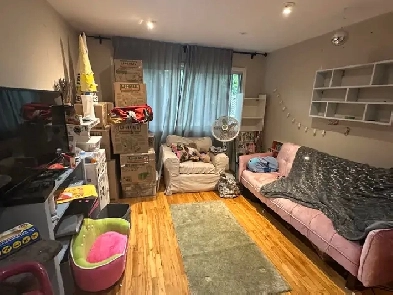 1350$ - 3 1/2 for rent in Verdun / à louer à Verdun Image# 5