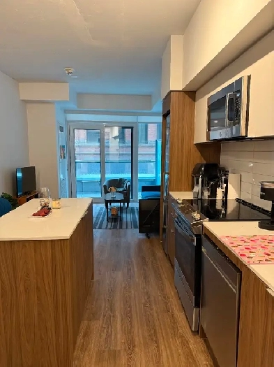Newly built apartment for rent! Image# 2